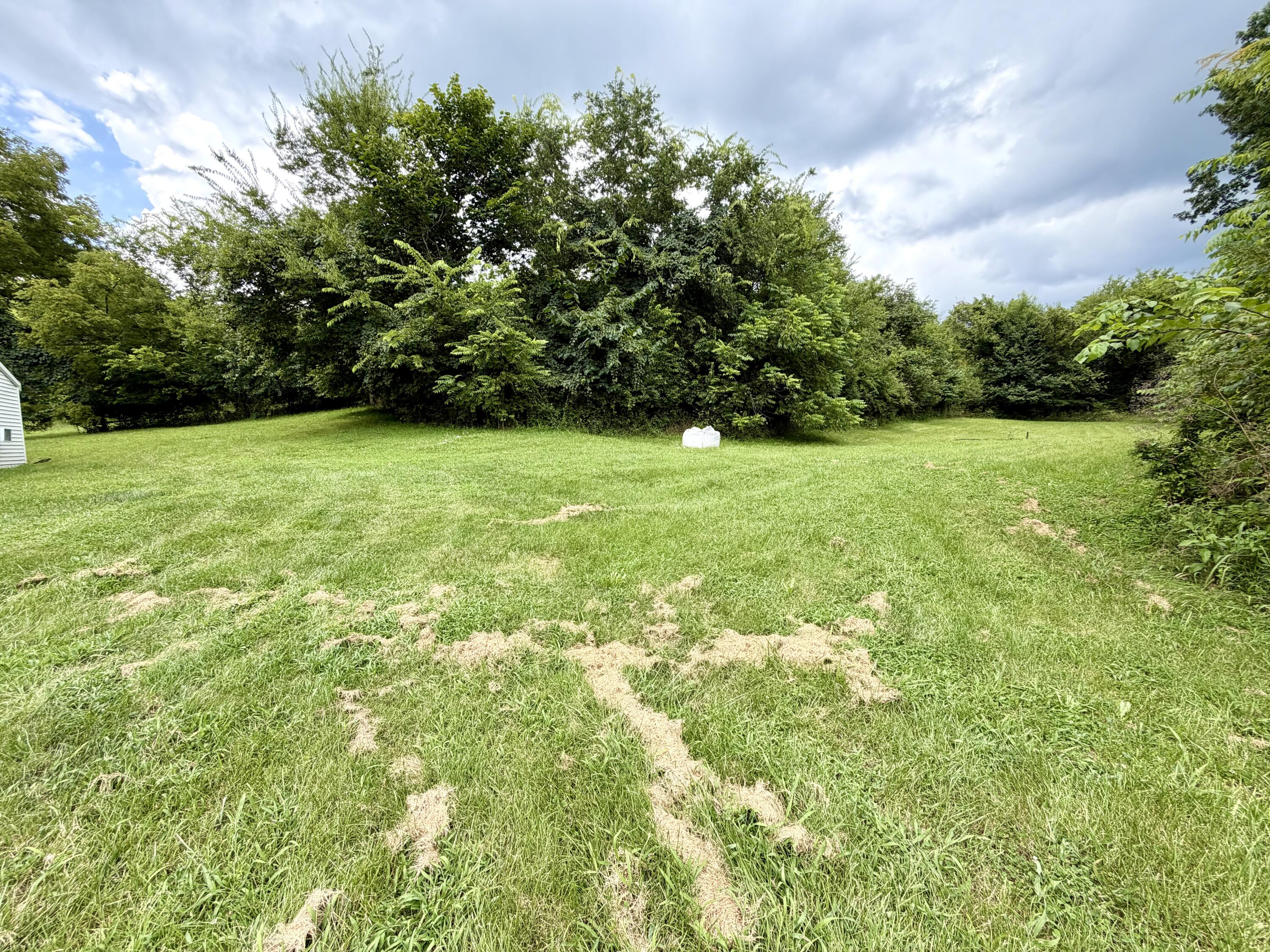180 Russell Branch Road Harrodsburg, KY 40330 - Photo 3 of 10 IMG_4440