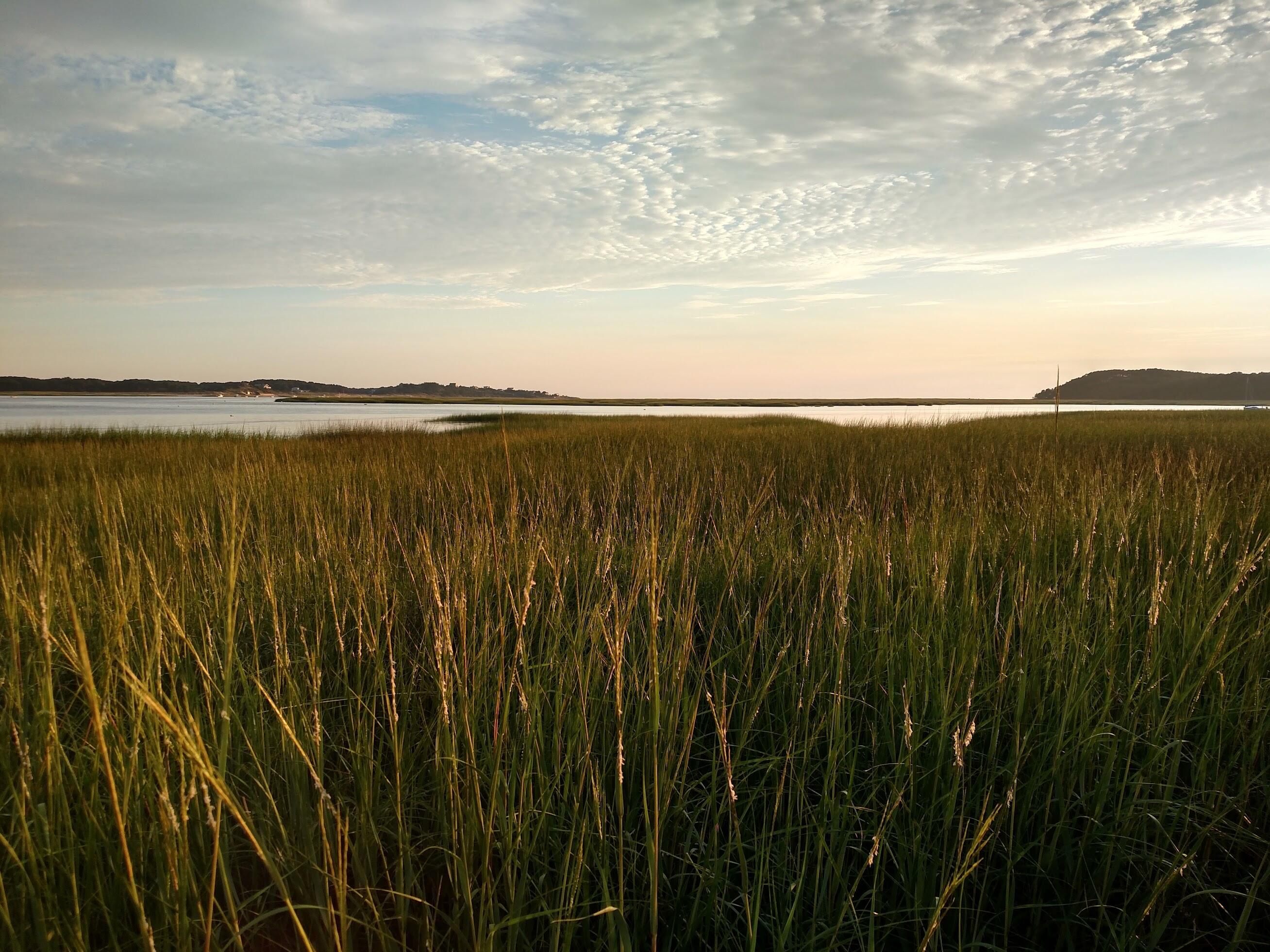 300 Paine Hollow Road Wellfleet, MA 02667 - Photo 56 of 67 Autumn at 300 Paine Hollow