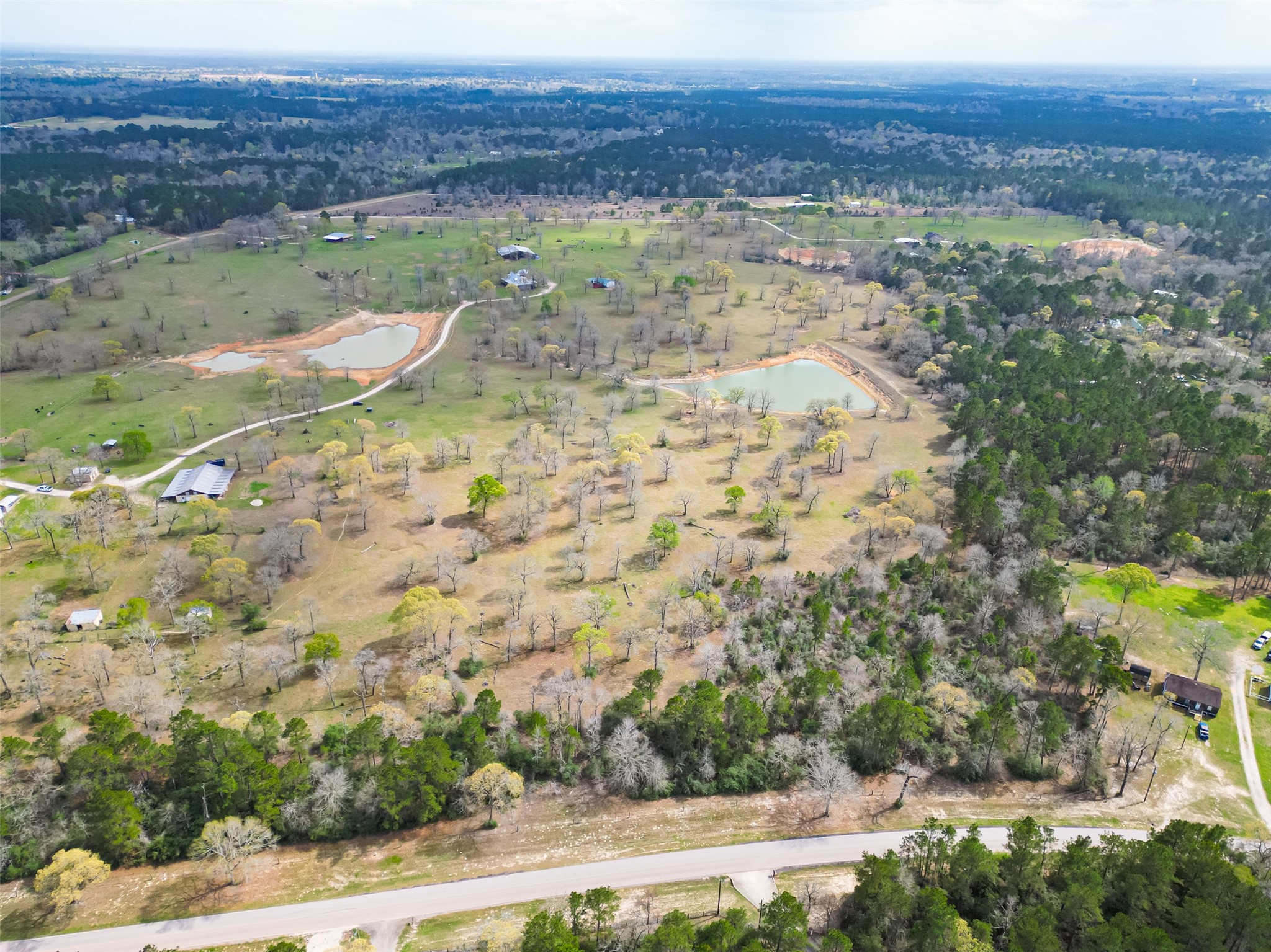 0 Clint Parker Road Conroe, TX 77303 - Photo 12 of 29
