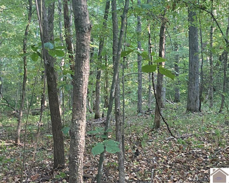 0 Pleasant Hill Road Princeton, KY 42445 - Photo 17 of 23 Photo 18