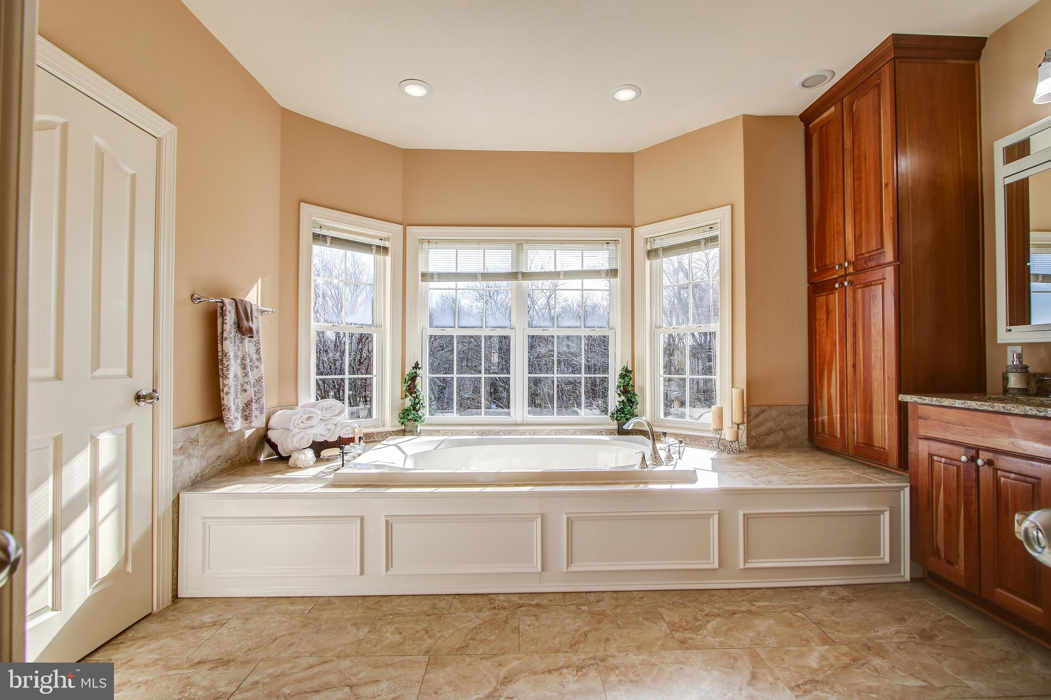 15611 Riding Stable Road Laurel, MD 20707 - Photo 37 of 67 Master Bath with Soaking Tub