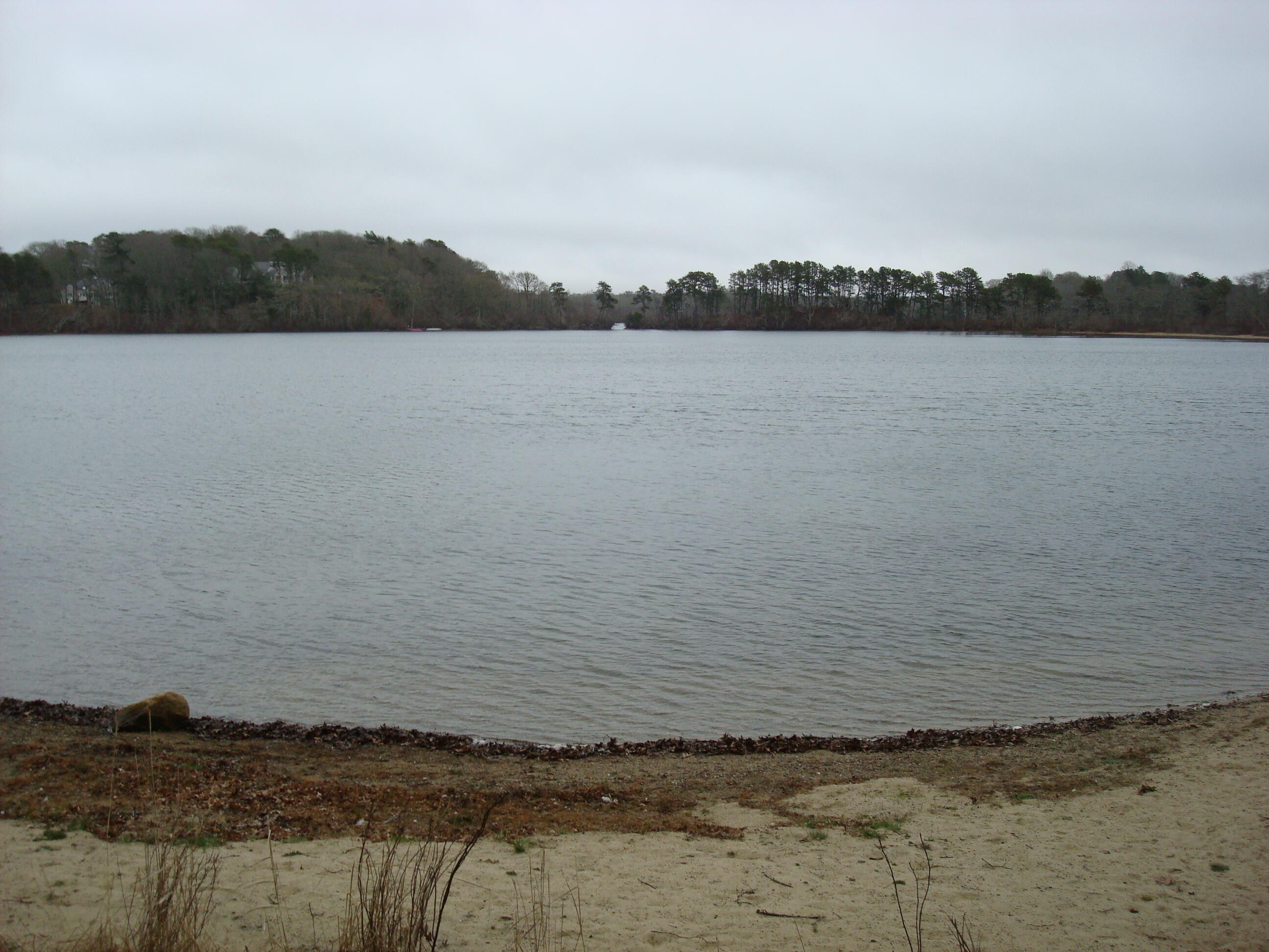 303 Turtleback Road Marstons Mills, MA 02648 - Photo 30 of 31 DSC04382