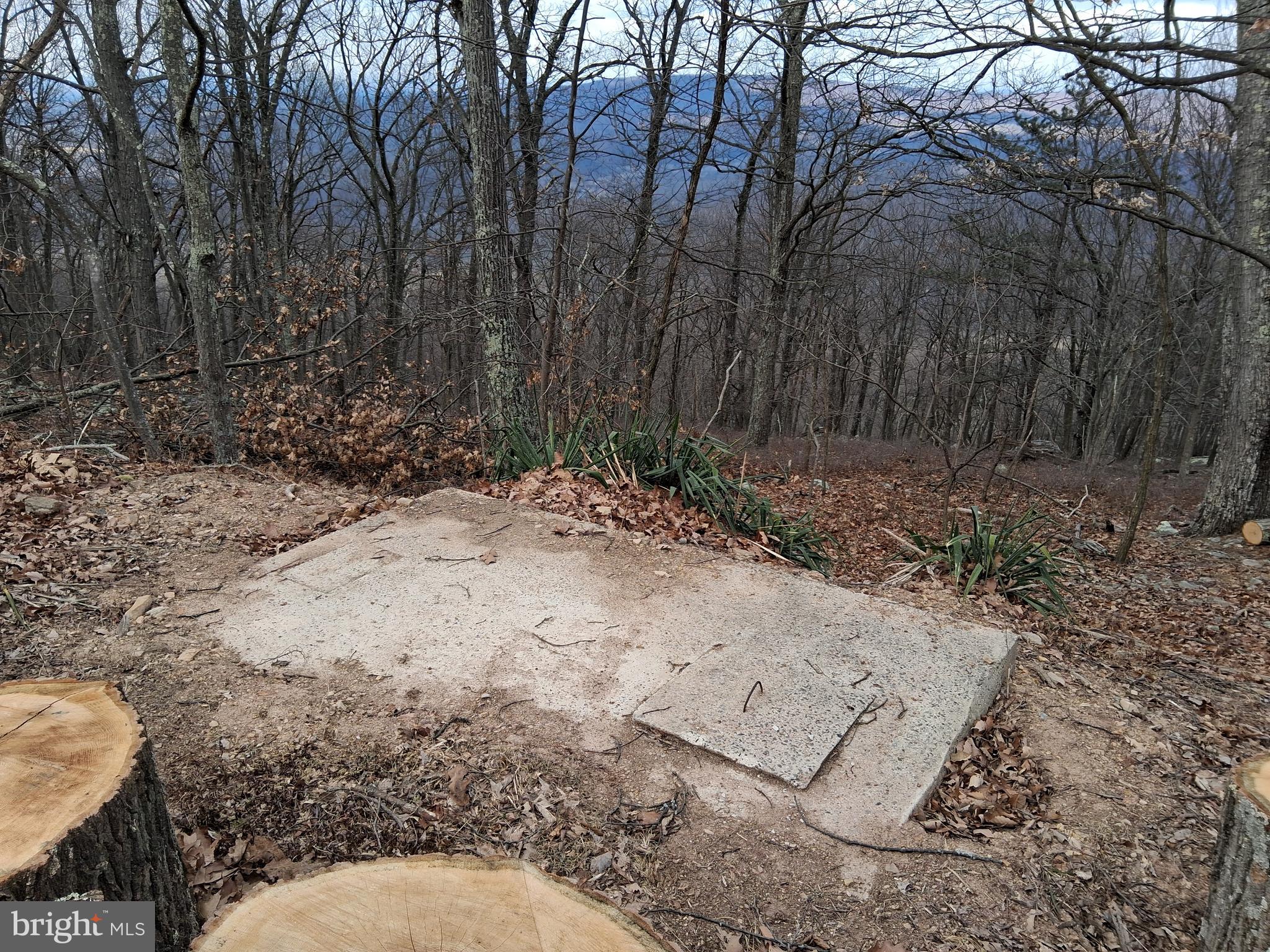 9 B Fire Tower Road Great Cacapon, WV 25422 - Photo 11 of 15 a view of outdoor space and yard