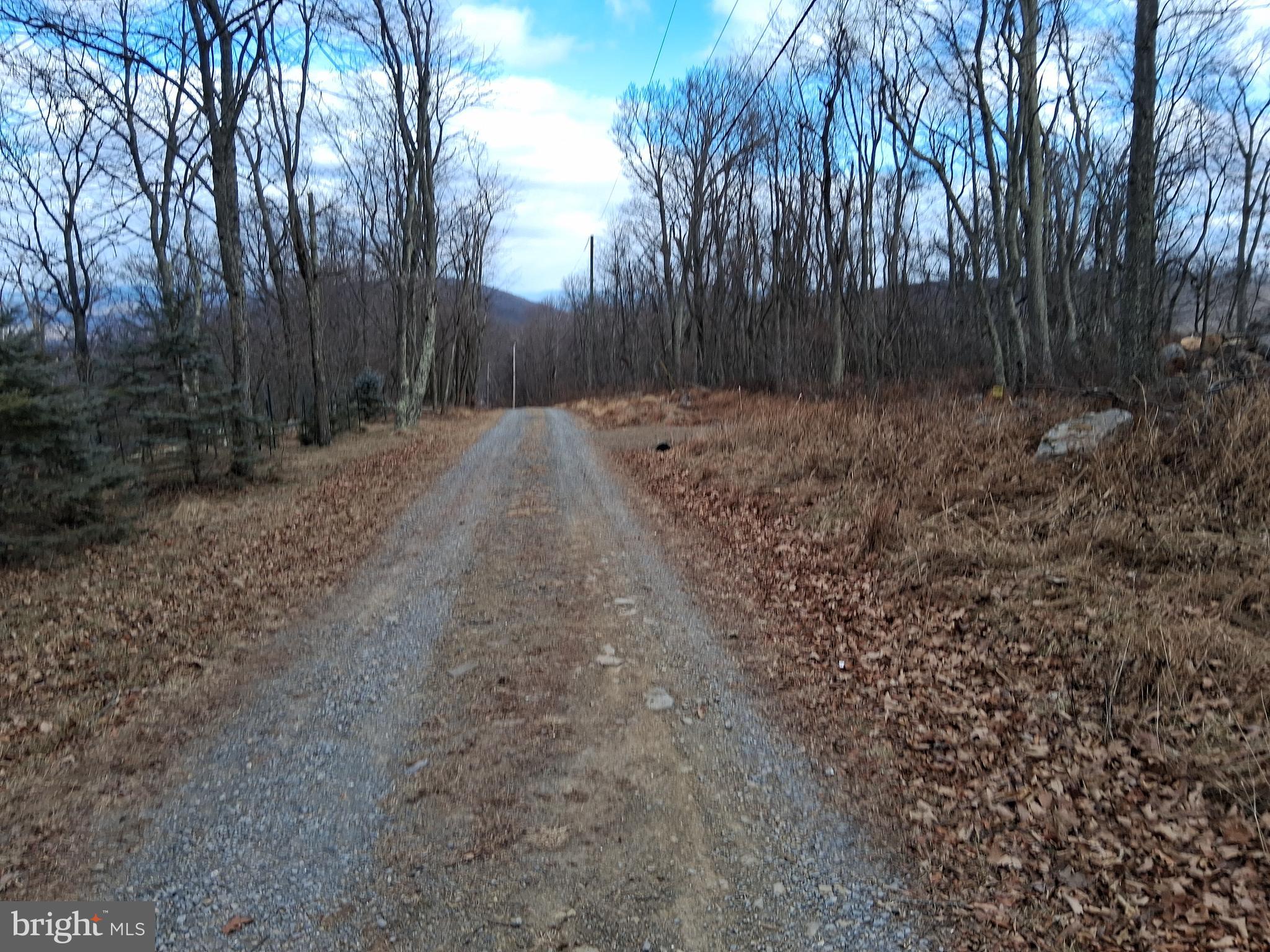 9 B Fire Tower Road Great Cacapon, WV 25422 - Photo 12 of 15 a view of backyard and tree