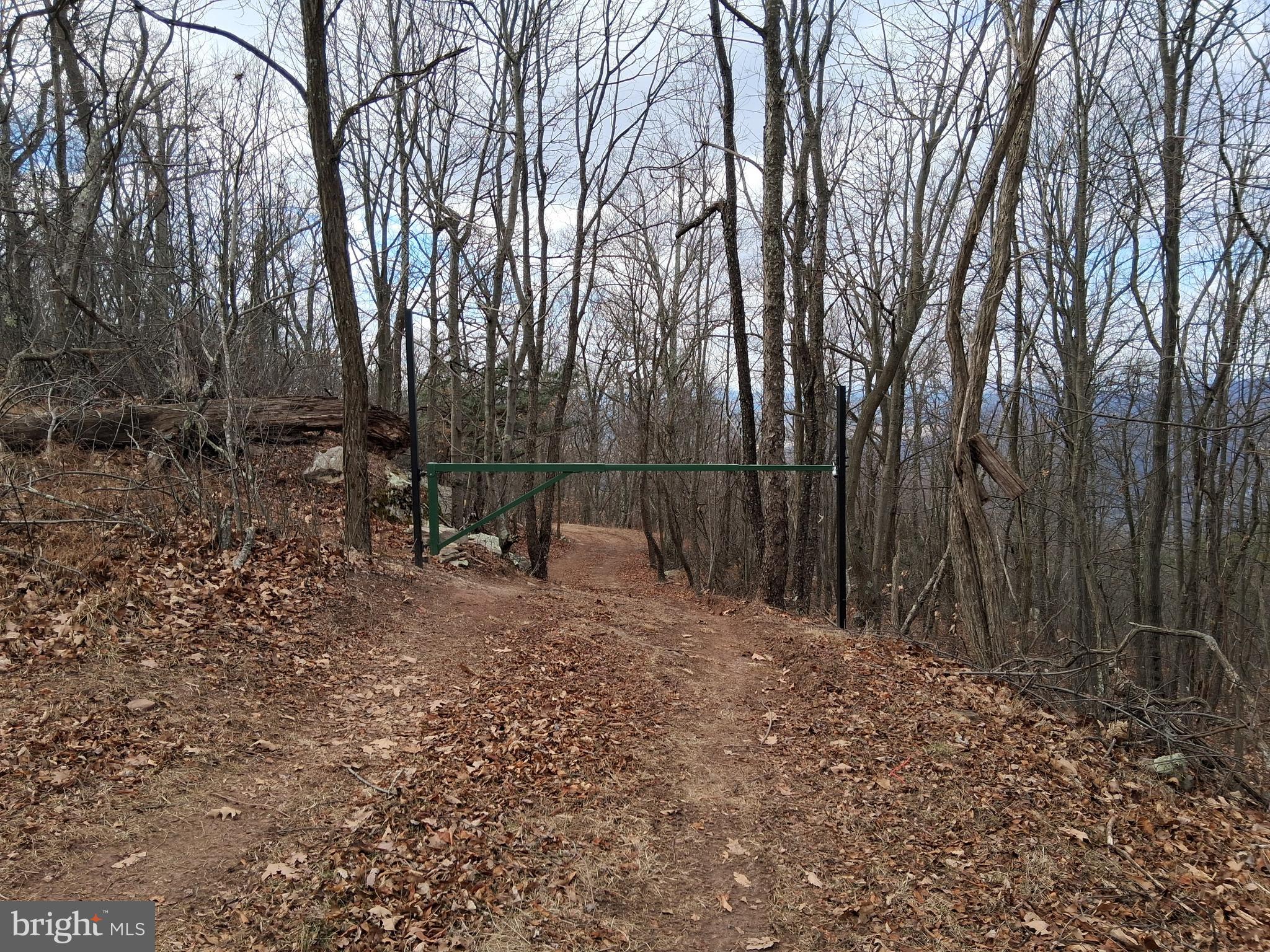 9 B Fire Tower Road Great Cacapon, WV 25422 - Photo 2 of 15 a view of backyard with trees