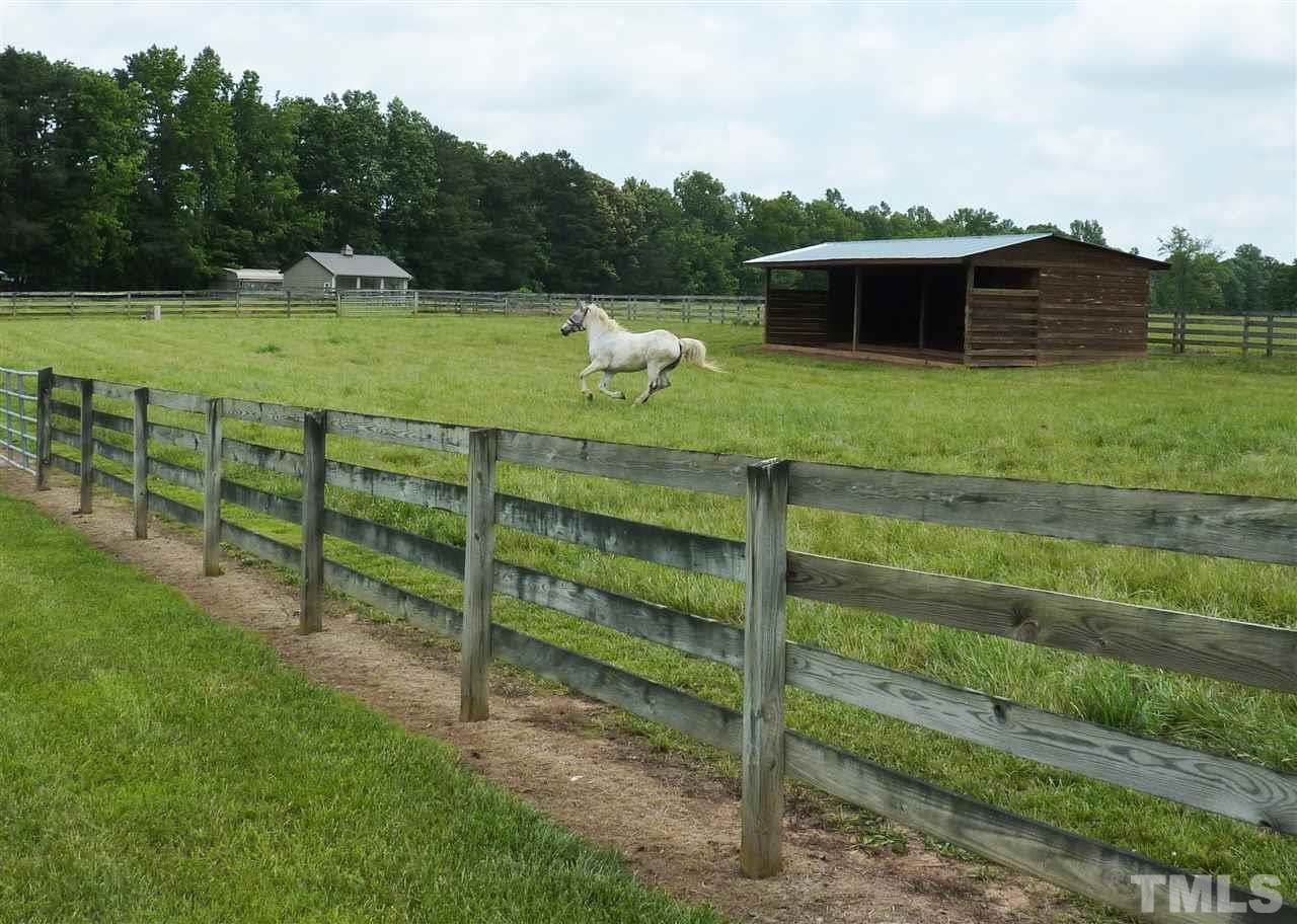 7016 Holly Ridge Road Rougemont, NC 27572 - Photo 8 of 24 Each of the 4 pastures has a large horse shelter and automatic watering feeders with heaters. The 4-board fencing includes boxed people entries.