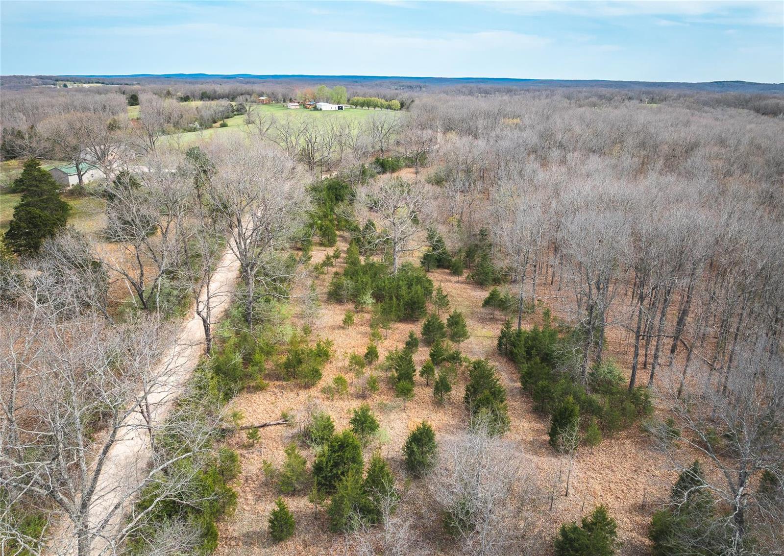 590 Plum Tree Road Bourbon, MO 65441 - Photo 6 of 21