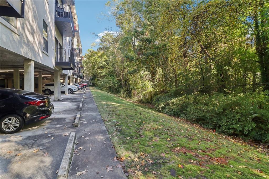 3071 Lenox Road Northeast, Unit 8 Atlanta, GA 30324 - Photo 41 of 50 a green field with lots of trees in front of it