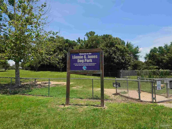 a view of a park with large trees