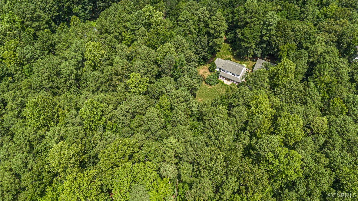 11384 Georgetown Road Mechanicsville, VA 23116 - Photo 46 of 49 Aerial view -peace and quiet!