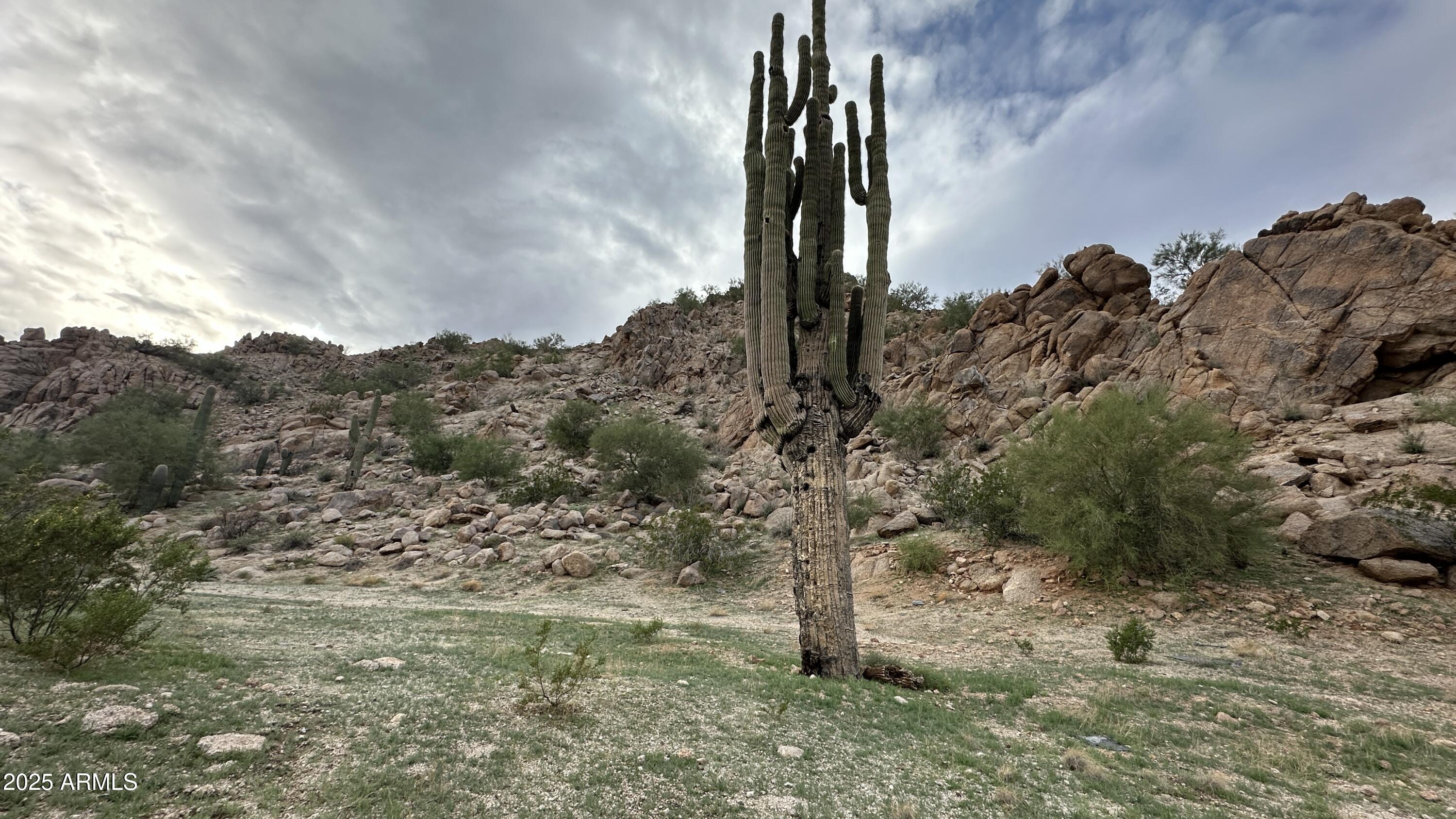 310 South Peak Road Maricopa, AZ 85139 - Photo 10 of 15 IMG_3370