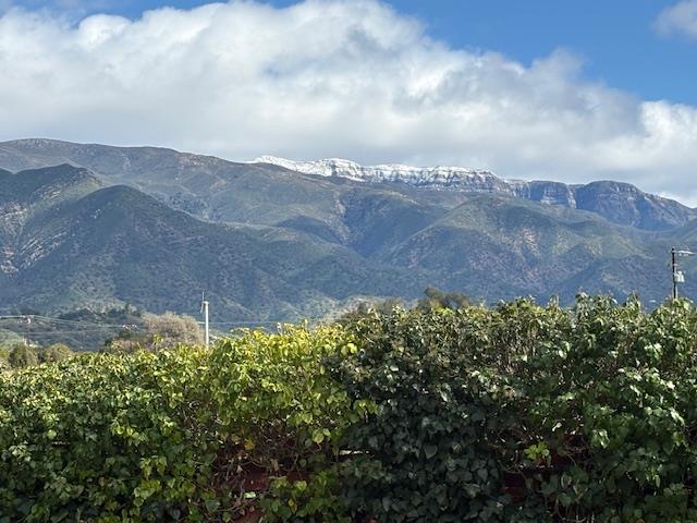 910 Mercer Avenue Ojai, CA 93023 - Photo 2 of 21 a view of a bunch of flowers in front of house