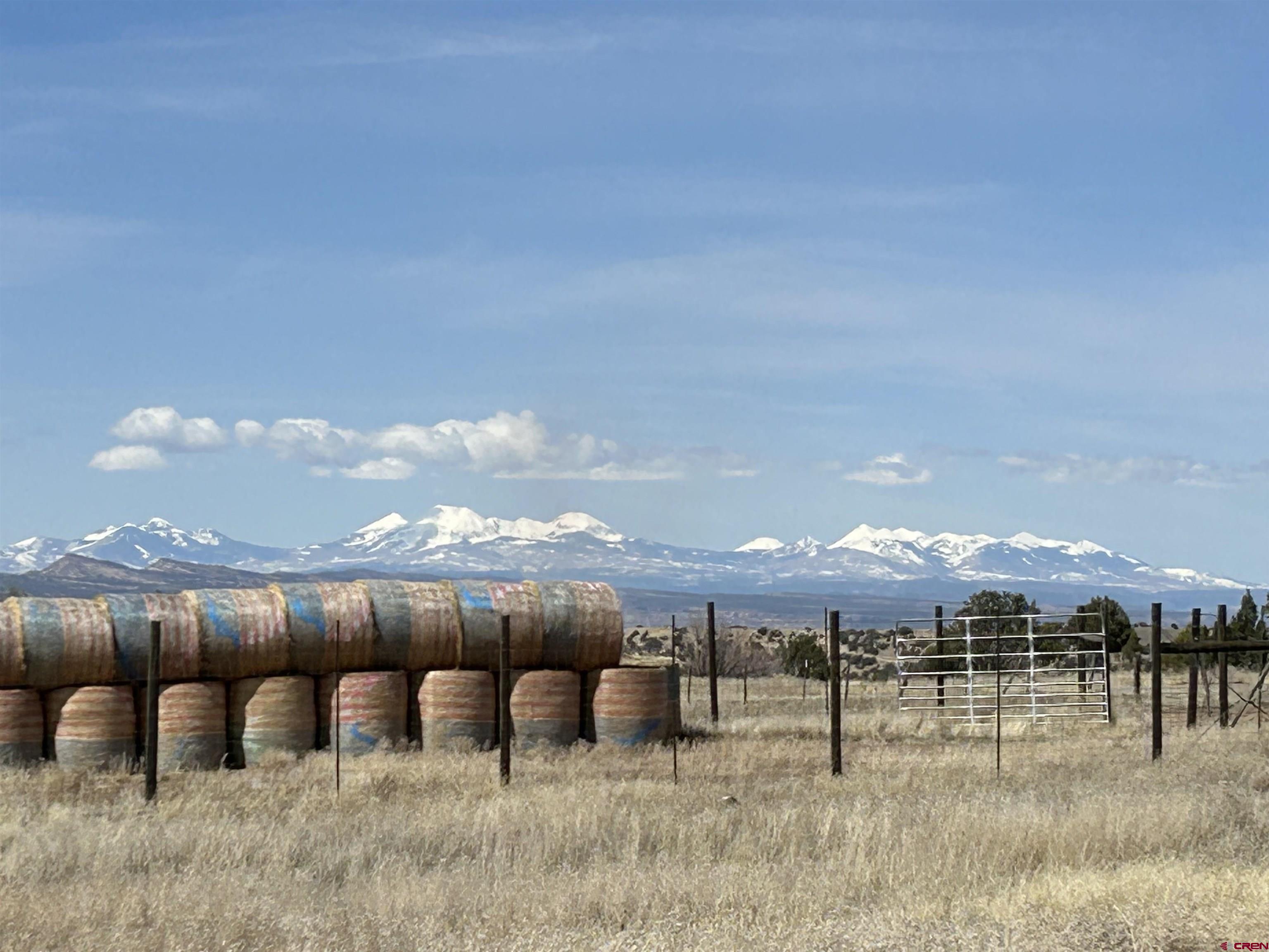 32116 Highway 145 Redvale, CO 81431 - Photo 25 of 28 a view of a yard