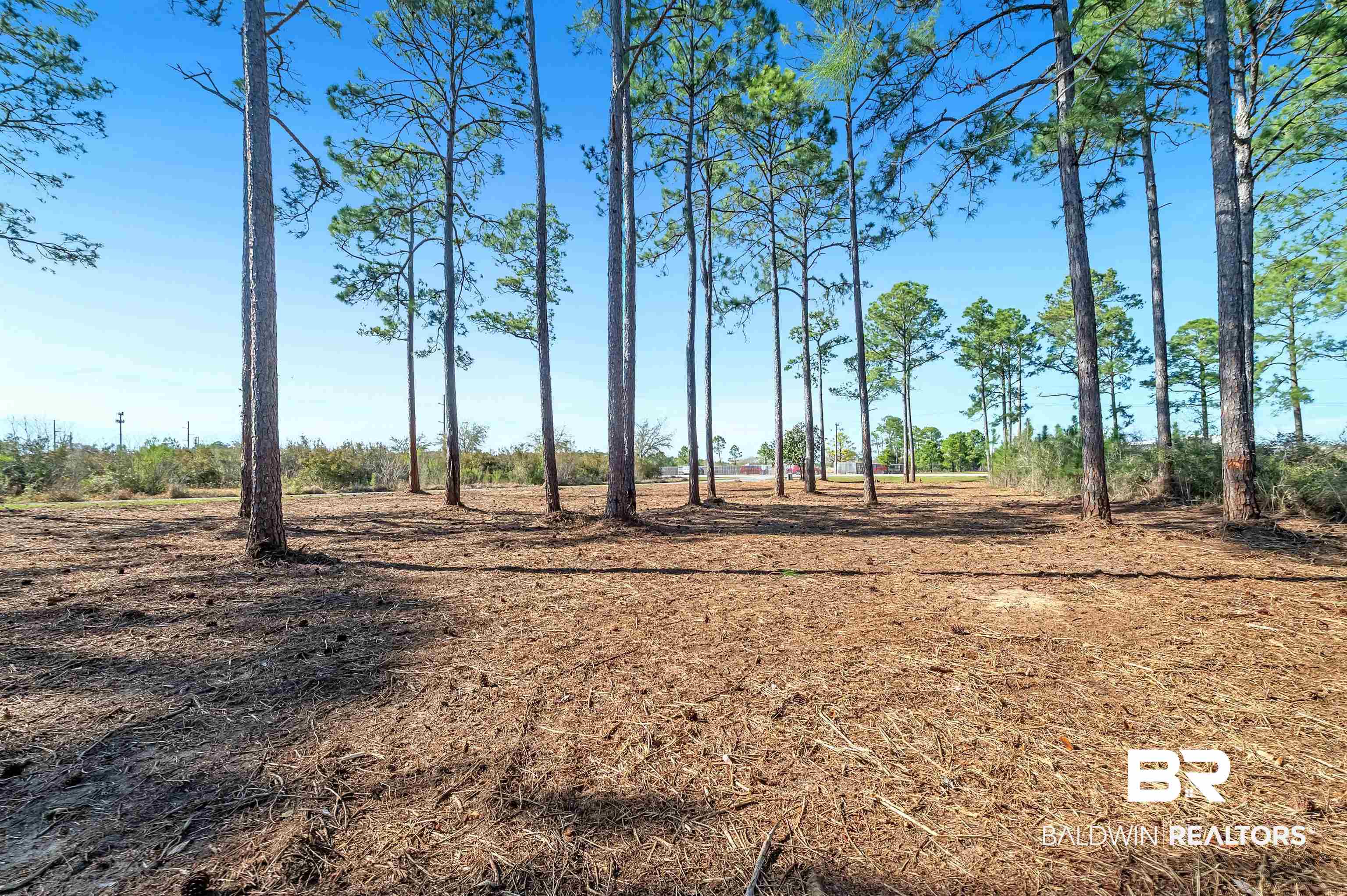 0 Canal Road Orange Beach, AL 36561 - Photo 9 of 25 View of landscape