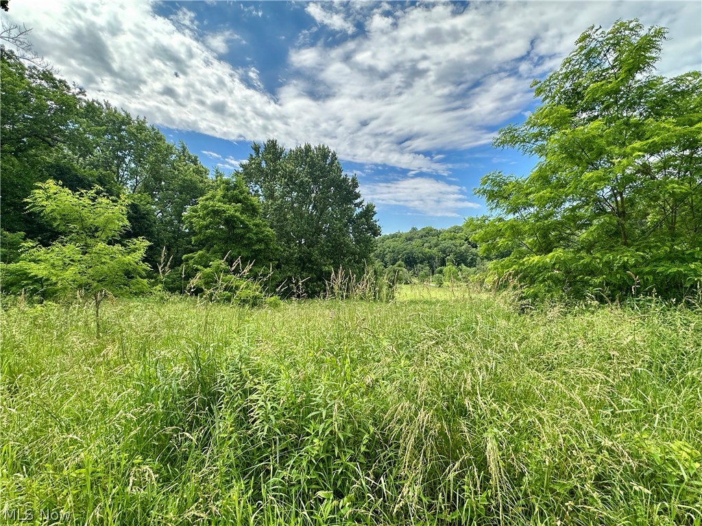 6058 Mackel Road Northeast Minerva, OH 44657 - Photo 8 of 16 View of local wilderness