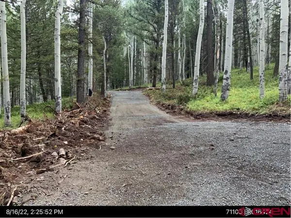 a view of outdoor space and green space
