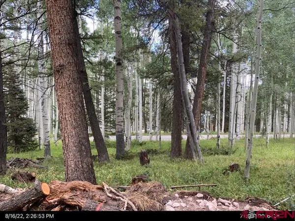 a backyard of a house with a yard and trees