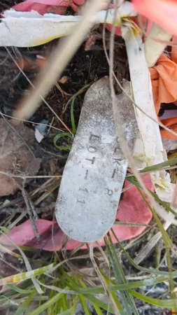 a view of outdoor space with seating area