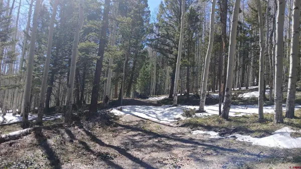 a view of a backyard with trees