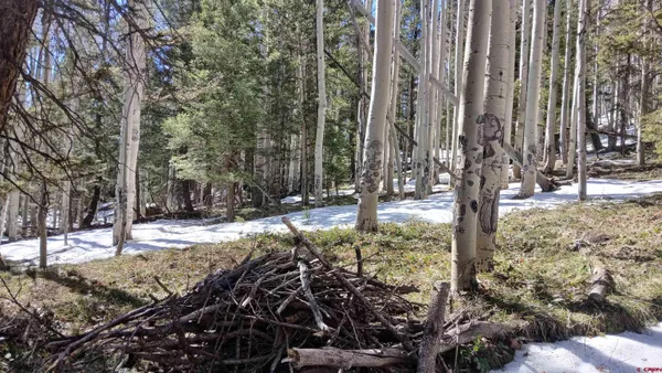 a view of a tree with a yard
