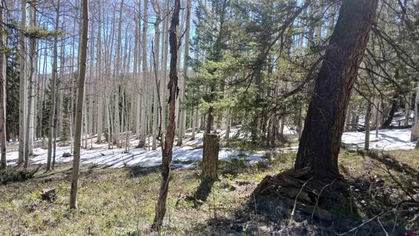 a view of outdoor space