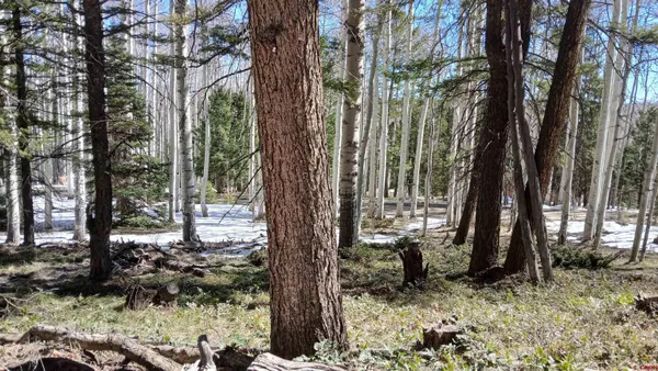 a view of outdoor space with sitting area