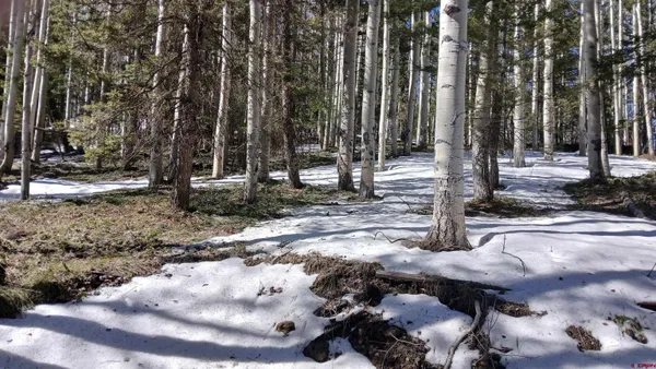 a view of a backyard with of trees