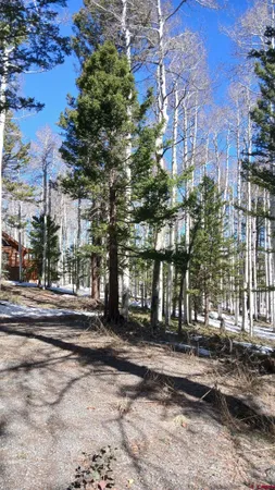 a view of a building with a yard