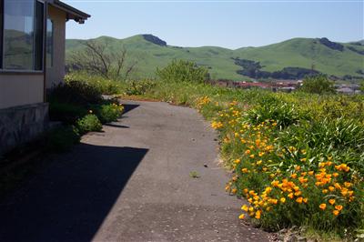 3590 Ritchie Road Fairfield, CA 94534 - Photo 4 of 7 Gallery Image 4