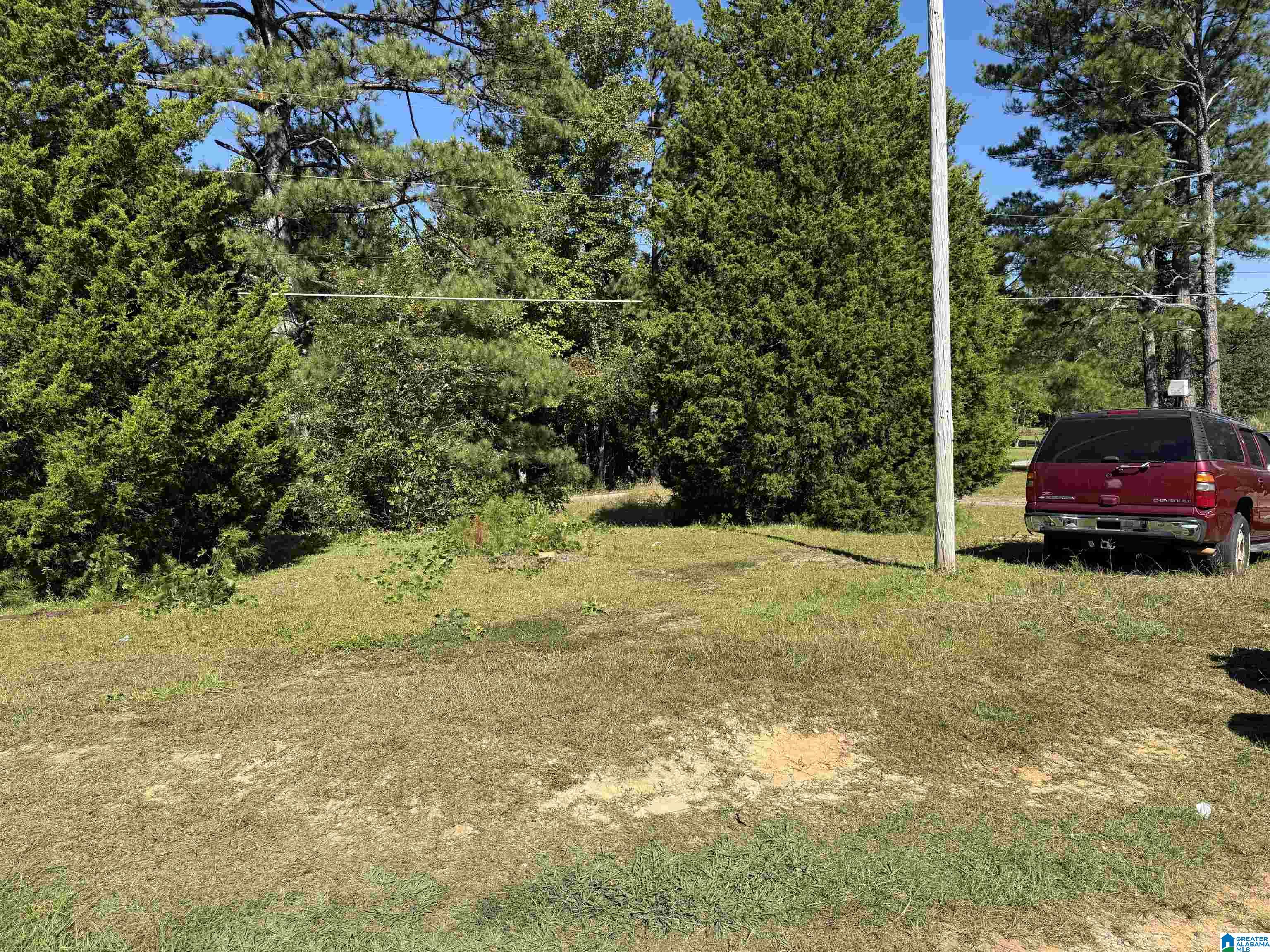 2361 New County Line Road Sylacauga, AL 35151 - Photo 6 of 35