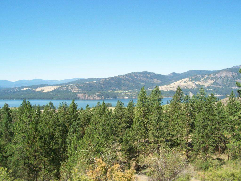 Tbd Tbd Hunters Ridge Way Hunters, WA 99129 - Photo 2 of 7 Gallery Image 2