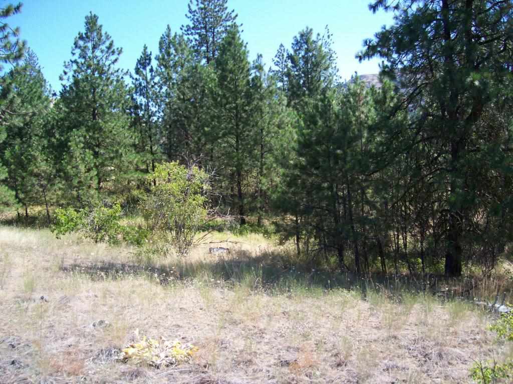Tbd Tbd Hunters Ridge Way Hunters, WA 99129 - Photo 3 of 7 Gallery Image 3