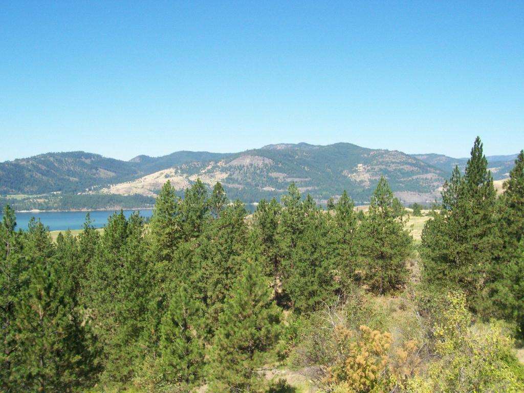Tbd Tbd Hunters Ridge Way Hunters, WA 99129 - Photo 5 of 7 Gallery Image 5