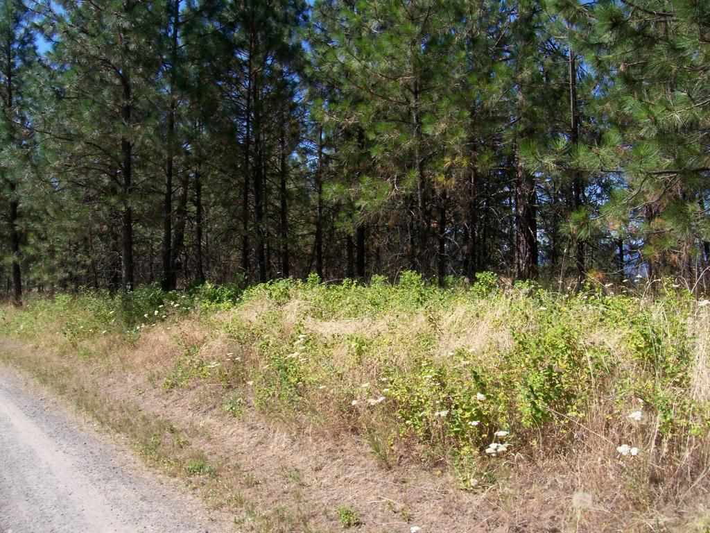 Tbd Tbd Hunters Ridge Way Hunters, WA 99129 - Photo 6 of 7 Gallery Image 6