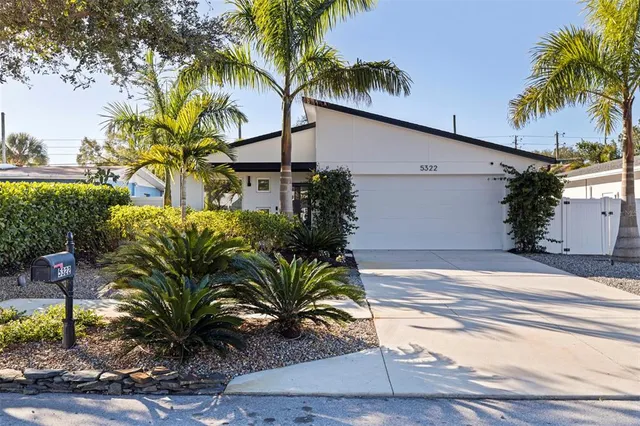 a palm tree sitting in front of a house