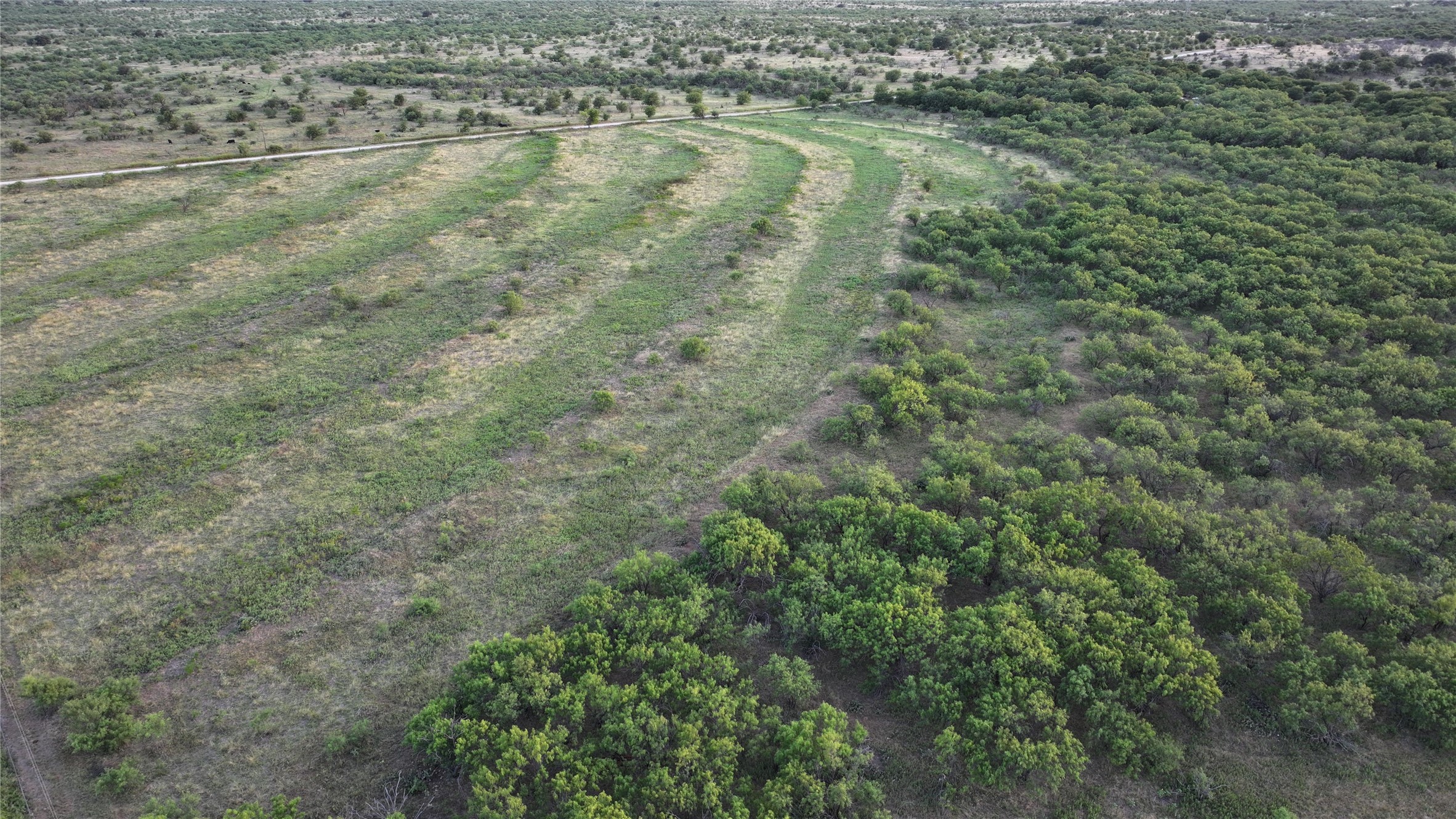 0 Butler Loop Graham, TX 76450 - Photo 12 of 12