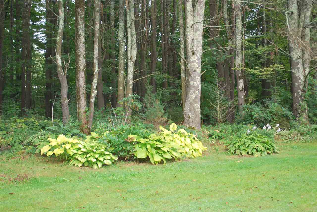 733 Cram Road Leicester, VT 05733 - Photo 36 of 37 Gallery Image 36