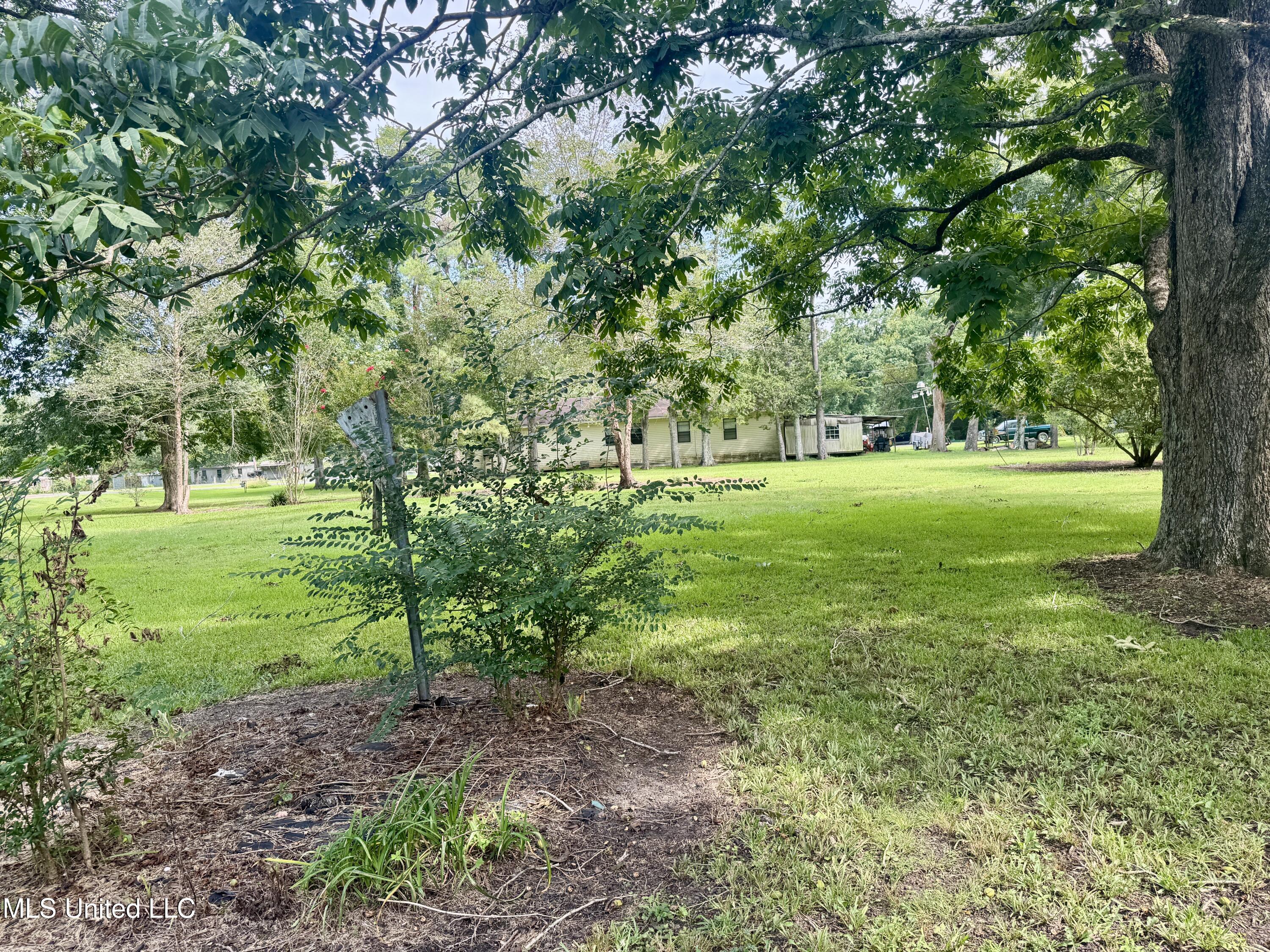 125 Sycamore Drive Ferriday, LA 71334 - Photo 42 of 44 IMG_3793