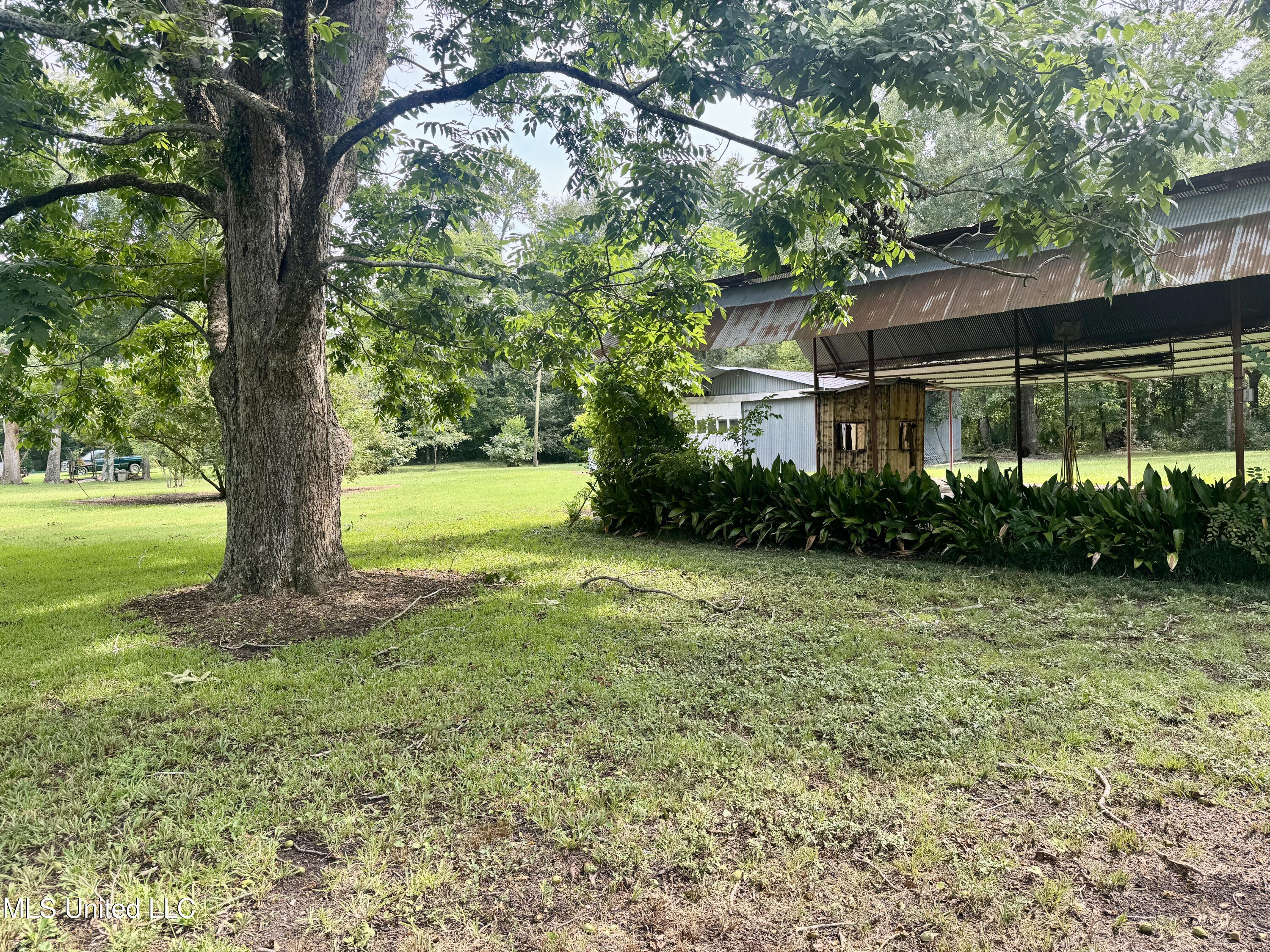 125 Sycamore Drive Ferriday, LA 71334 - Photo 44 of 44 IMG_3792