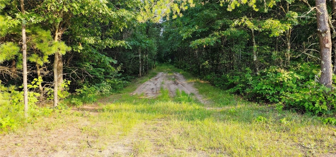 0 West Bauer Road Black River Falls, WI 54615 - Photo 8 of 9 Gallery Image 8