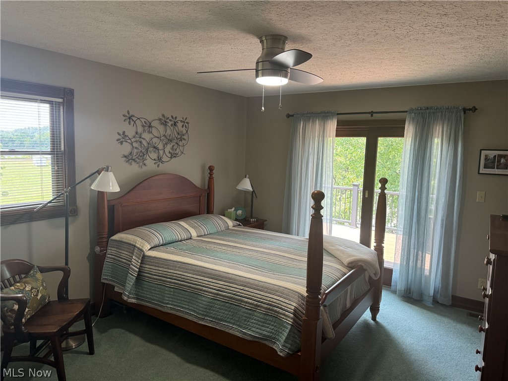 382 Riverview Acres Road Washington, WV 26181 - Photo 16 of 24 Carpeted bedroom with access to outside, a textured ceiling, and ceiling fan