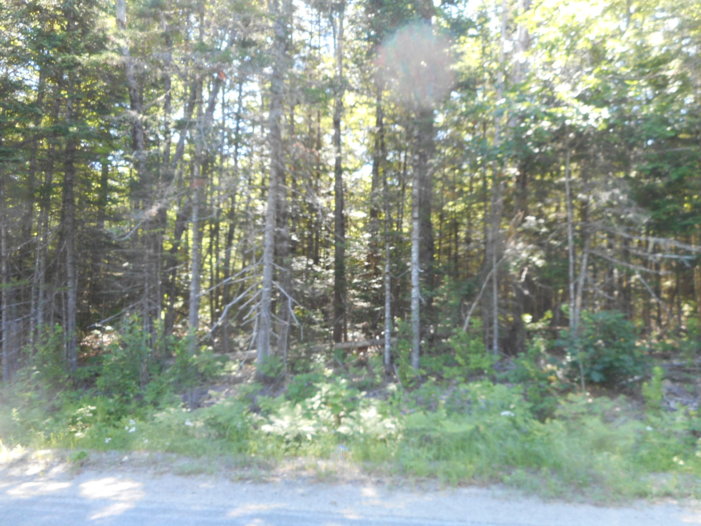 116 Rte Mattamiscontis Twp Me 04457 Route Lincoln, ME 04457 - Photo 2 of 11 DSCN2515