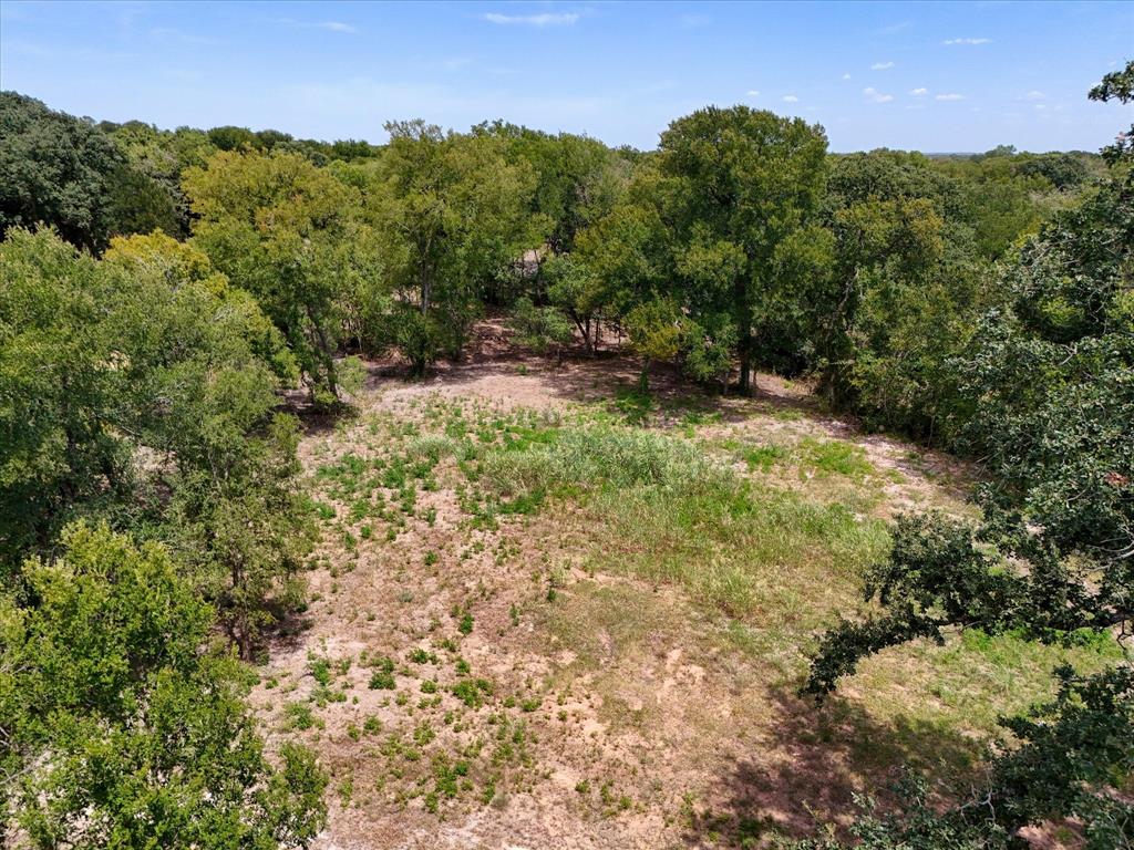 Tbd000 Williams Road Waco, TX 76705 - Photo 15 of 15 Expansive wooded acreage featuring mature trees and natural terrain