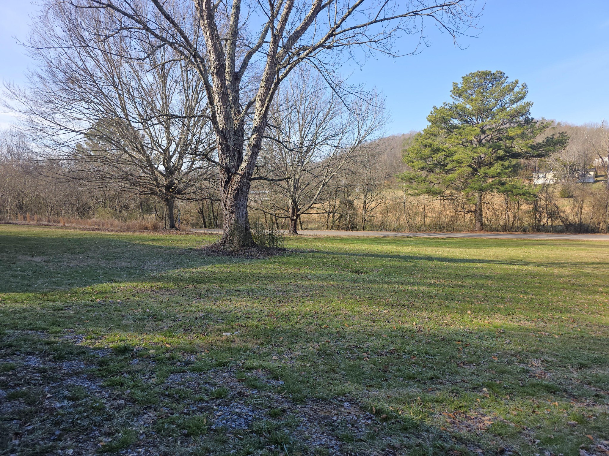 5909 Ladd Springs Road Old Fort, TN 37362 - Photo 4 of 26 Gallery Image 4