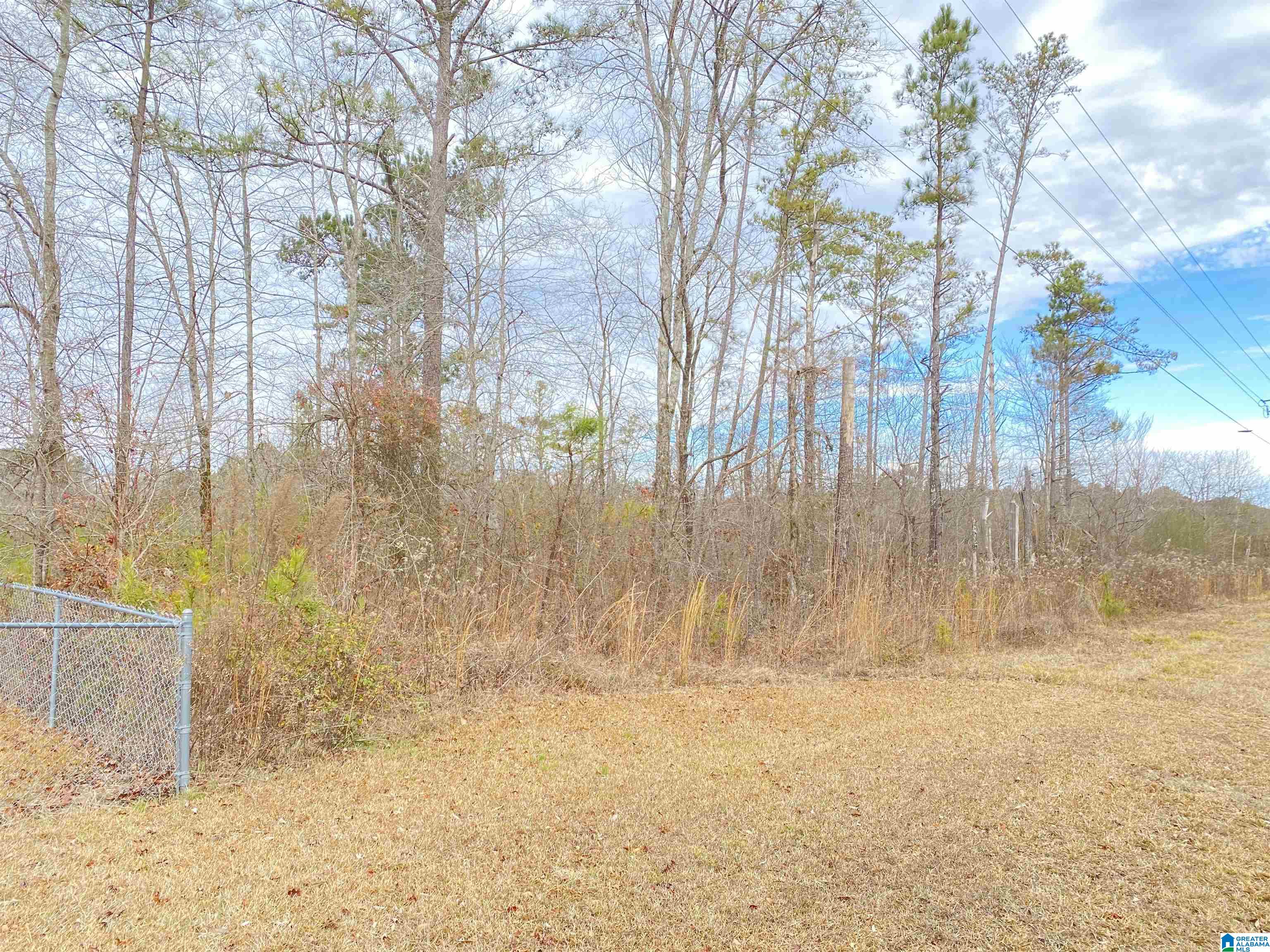 20 Friendship Drive Springville, AL 35146 - Photo 8 of 62