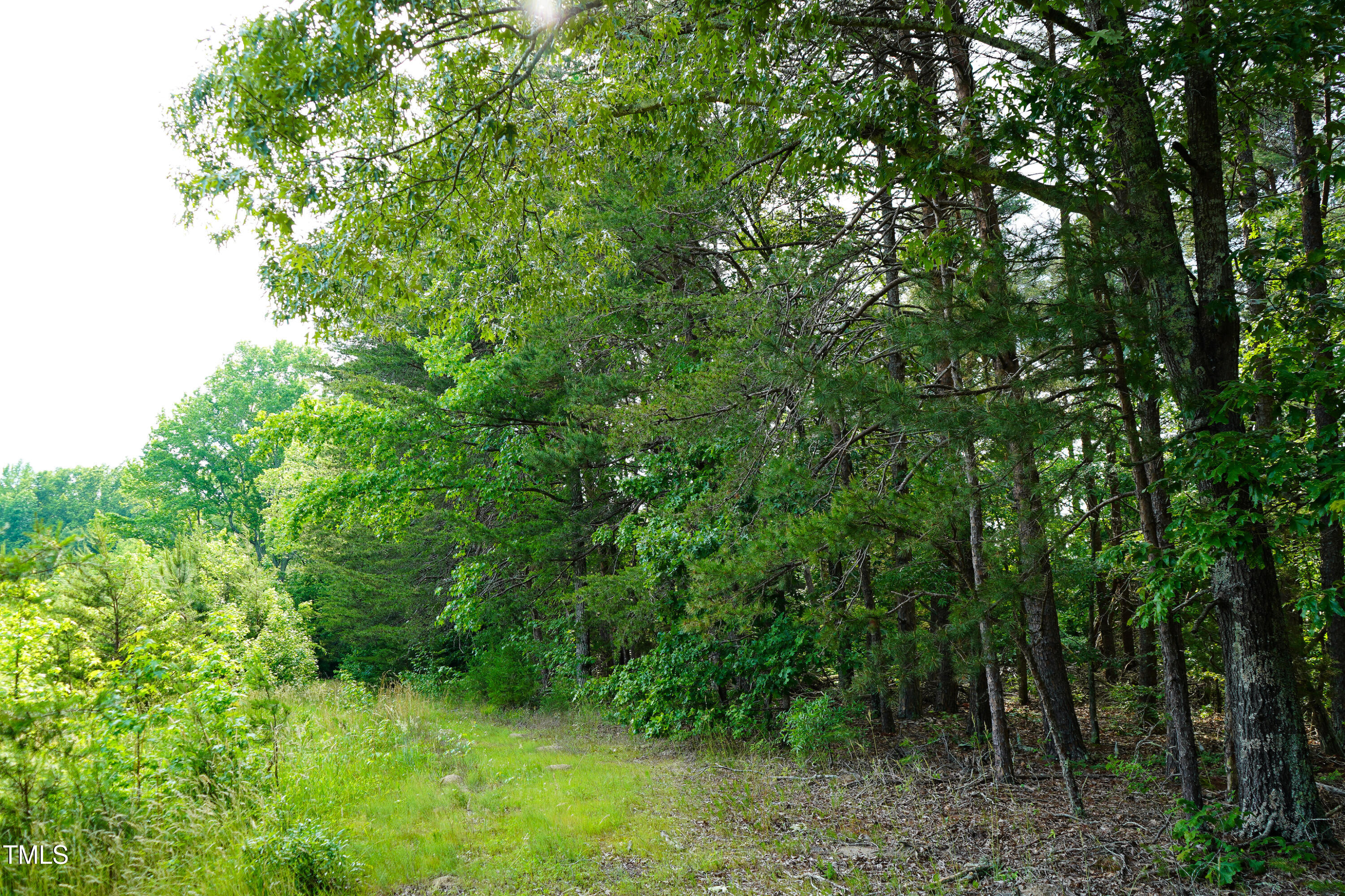 52.8-acres Atkins Road Mebane, NC 27302 - Photo 11 of 36 11