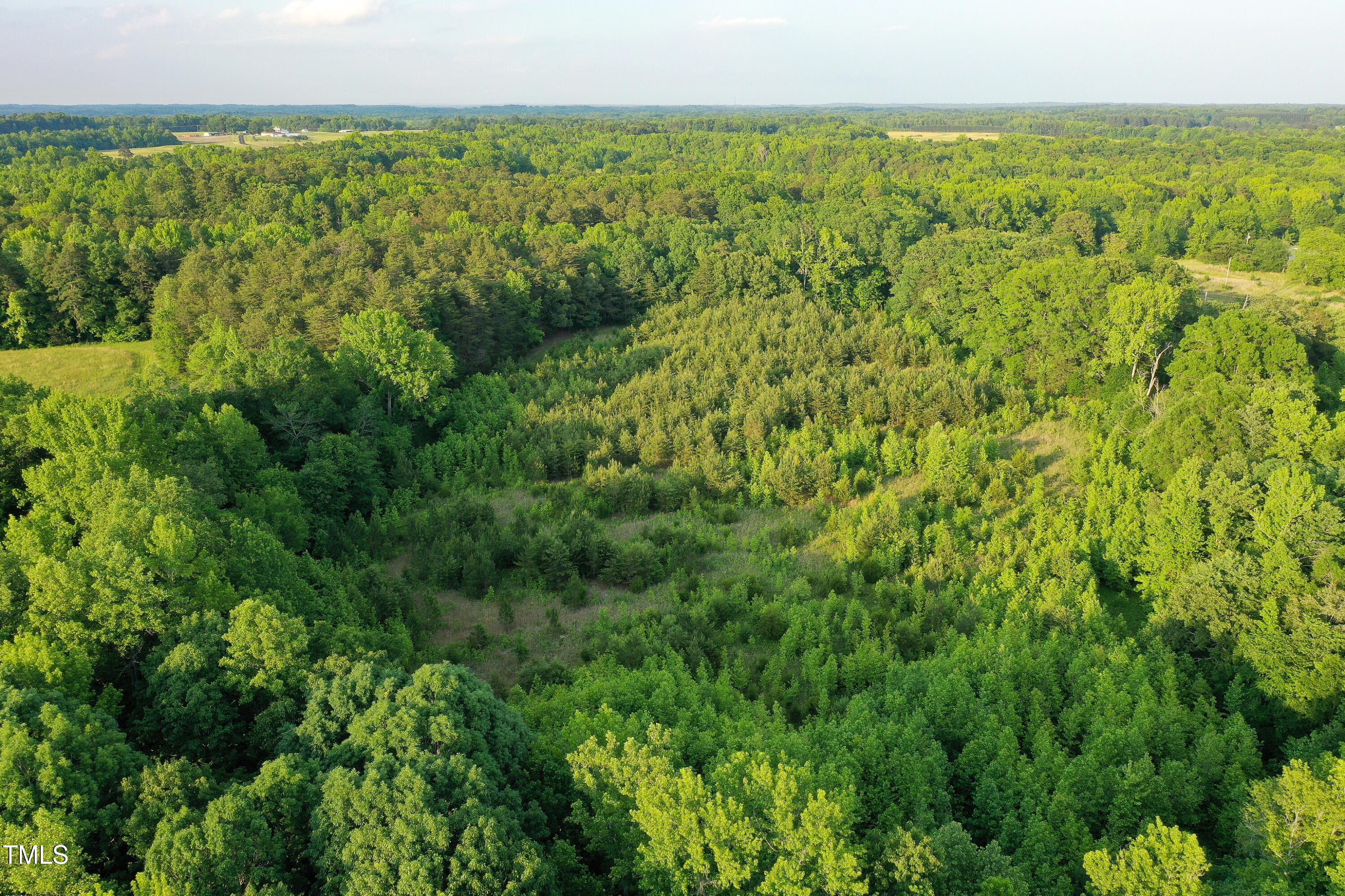 52.8-acres Atkins Road Mebane, NC 27302 - Photo 12 of 36 12