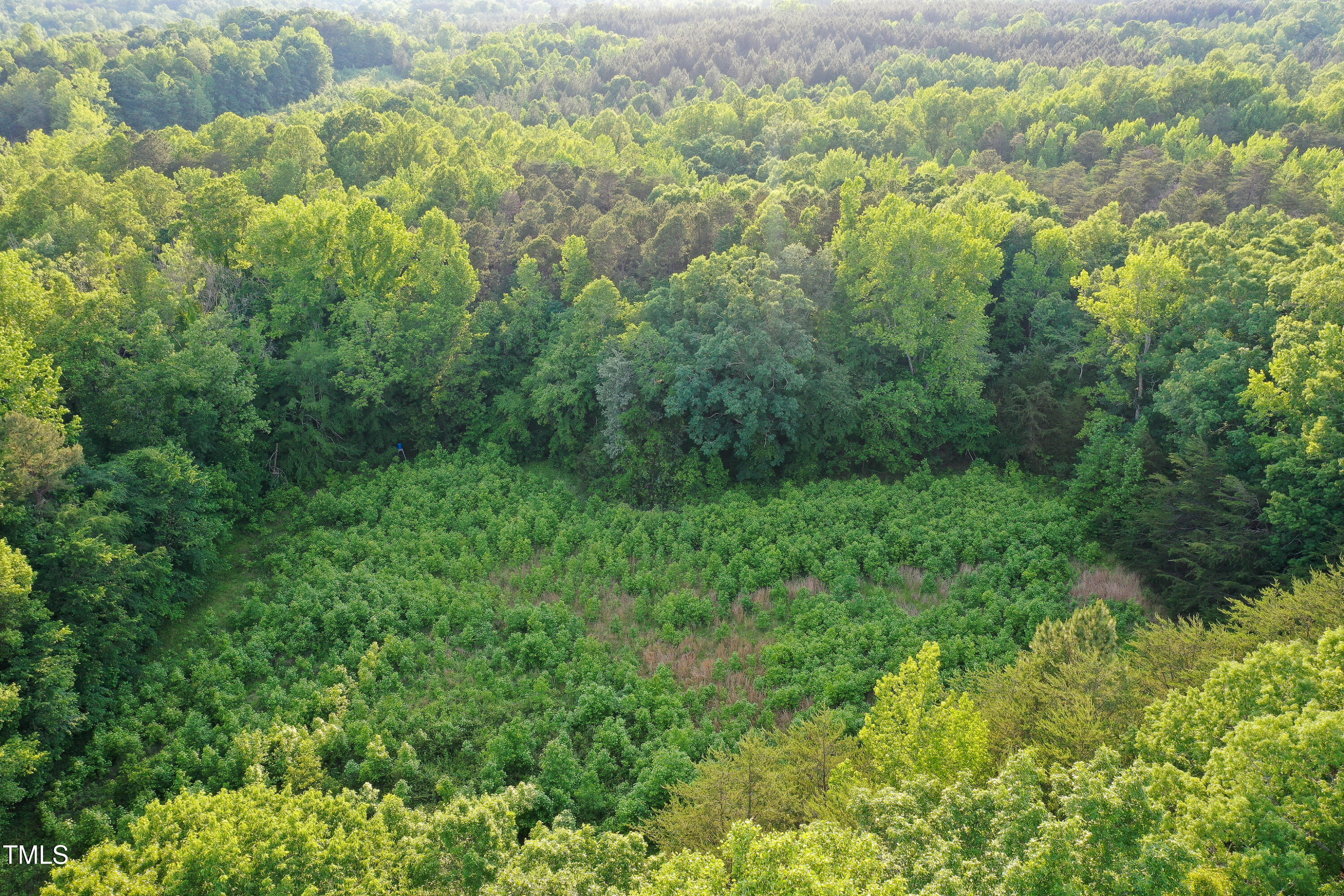 52.8-acres Atkins Road Mebane, NC 27302 - Photo 13 of 36 13