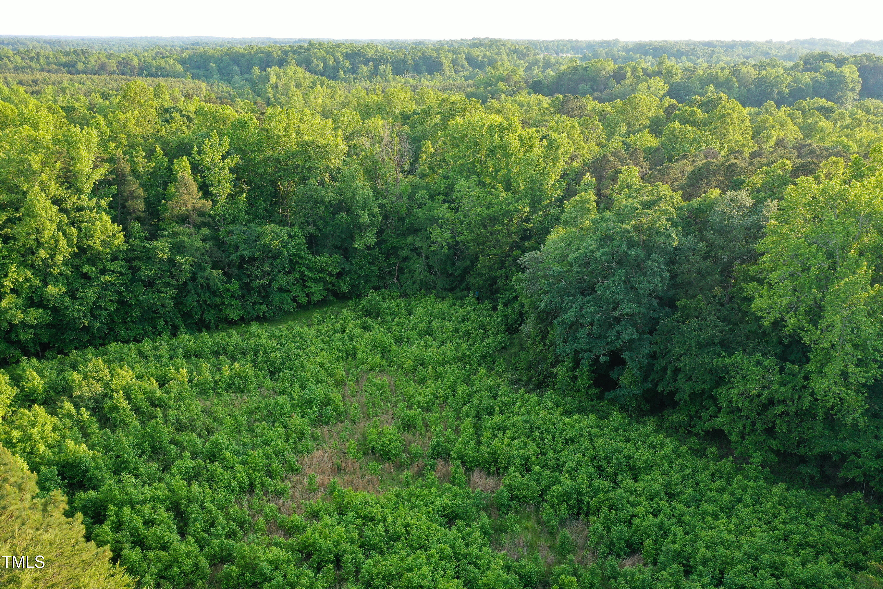 52.8-acres Atkins Road Mebane, NC 27302 - Photo 14 of 36 14