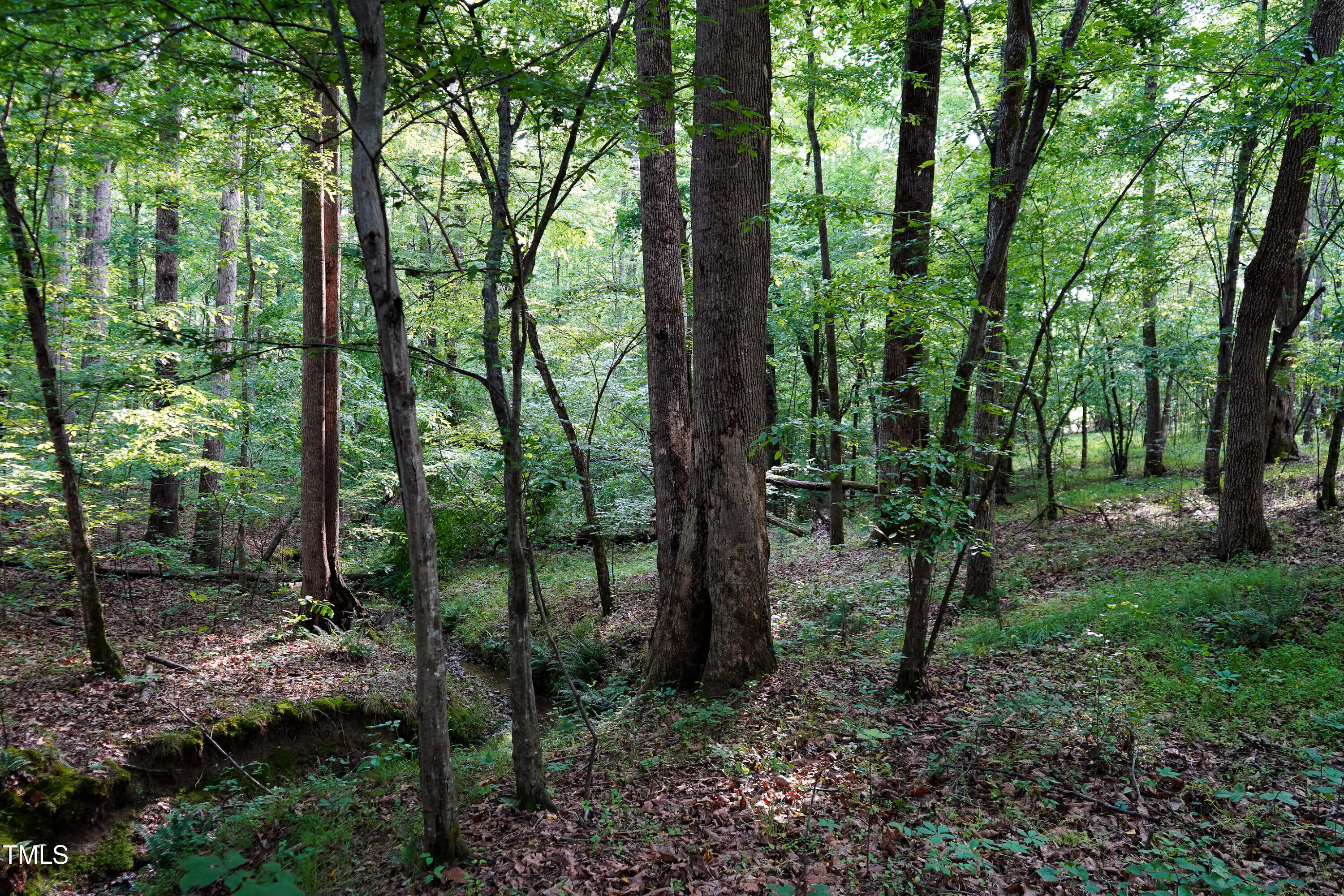 52.8-acres Atkins Road Mebane, NC 27302 - Photo 15 of 36 15